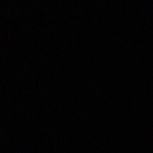 Meet your Posher, Bob